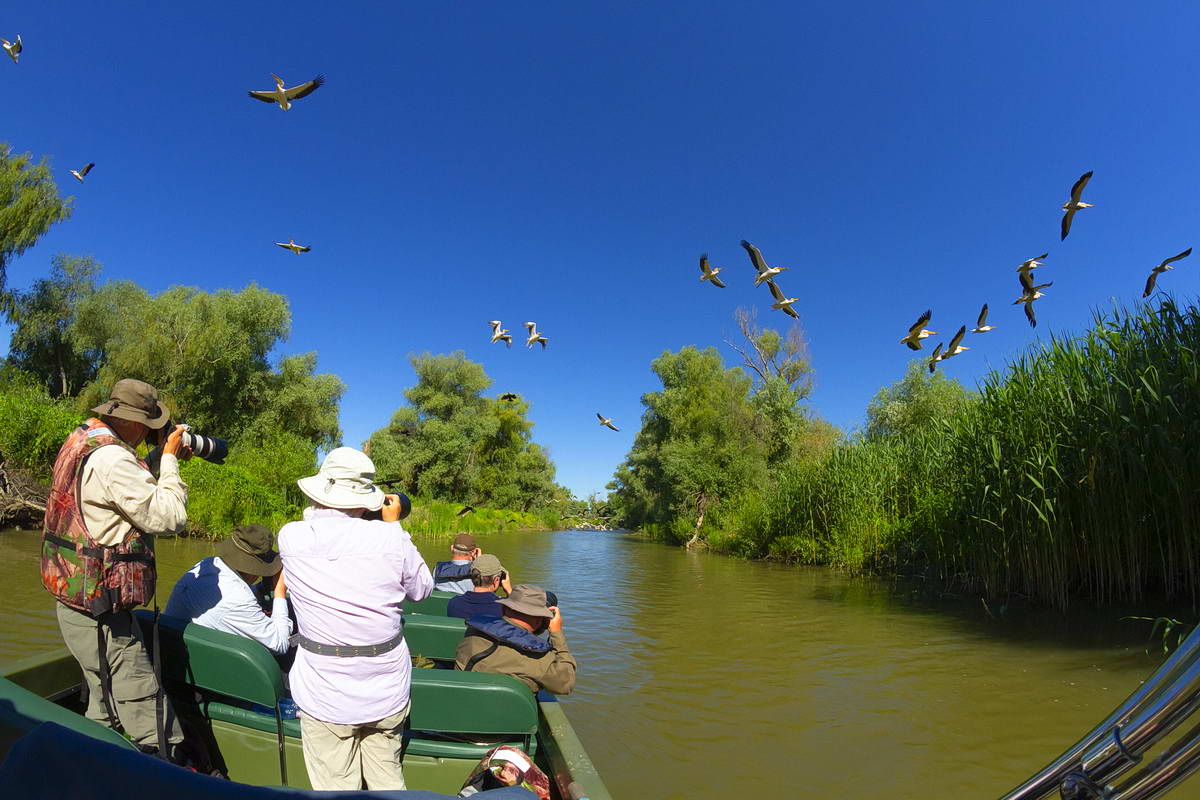 Danube Delta wildlife